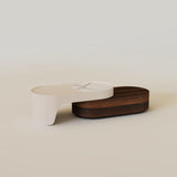 Modern Wood TV Stand and Coffee Table Set
