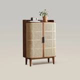 2 Door Rattan Shoe Cabinet for Storage