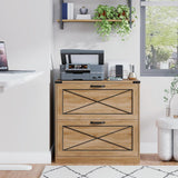 Farmhouse Lateral Office File Cabinet with 2 Drawers