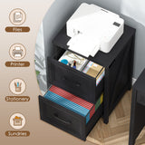 Vabches 2 Drawer Farmhouse Vertical Filing Cabinet for Home Office
