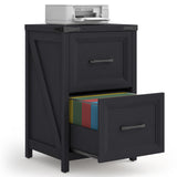 Vabches 2 Drawer Farmhouse Vertical Filing Cabinet for Home Office