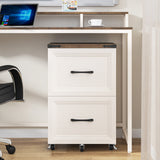 2 Drawers Farmhouse File Cabinet with Wheels for Home Office