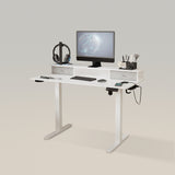 Electric Adjustable Home Office Standing Desk