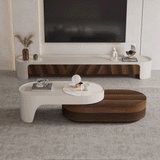 Modern Wood TV Stand and Coffee Table Set