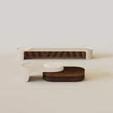 Modern Wood TV Stand and Coffee Table Set