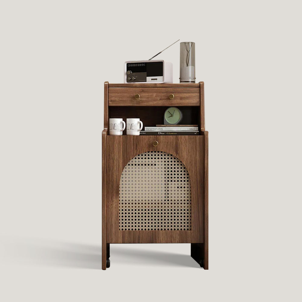 Modern Rattan Storage Cabinet Side Table