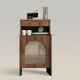 Modern Rattan Storage Cabinet Side Table