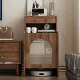 Modern Rattan Storage Cabinet Side Table