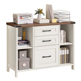 Lateral File Cabinet for Home Office with Rustic Metal Handles