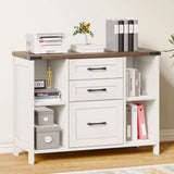 Lateral File Cabinet for Home Office with Rustic Metal Handles