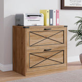 Farmhouse Lateral Office File Cabinet with 2 Drawers
