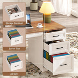 Farmhouse Home Office Desk with File Cabinet and 2 Drawers