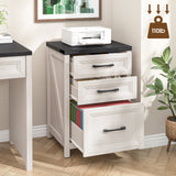 Vabches 3 Drawer Farmhouse Vertical Filing Cabinet