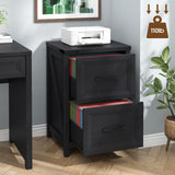 Vabches 2 Drawer Farmhouse Vertical Filing Cabinet for Home Office