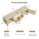 Modern Rattan Entertainment Center TV Stand with Storage Cabinets